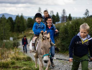 Heidi-Hotel Falkertsee Heidi Hotel Falkertsee 2018 (c) Carolin Thiersch-117