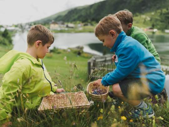 Heidi-Hotel Falkertsee Heidi Hotel - Kinderhotel - Thymian Sammeln-19