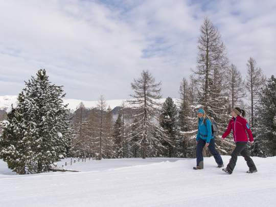 Heidi-Hotel Falkertsee Abseits der Piste_Winterwandern_Hochrindl_Nockberge_Winter © Franz Gerdl_Biosphärenpark Nockberge, MBN Tourismus